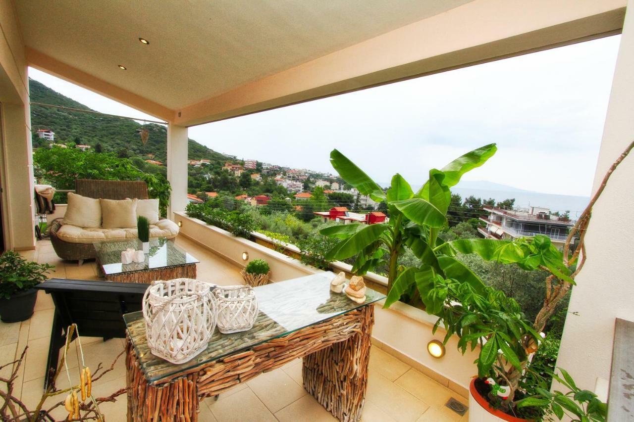 Aerides Luxury Villa Палайон-Ціфікіон Екстер'єр фото